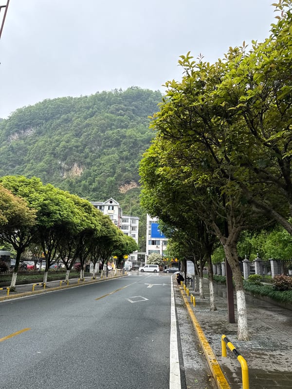 Morning street scenes captured amid misty mountains in Wulingyuan