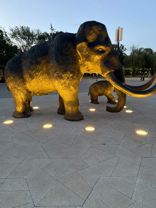 Evening park visit features illuminated mammoth sculptures and sunset scenes