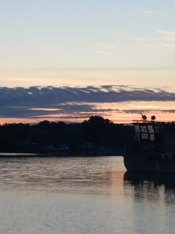 Labrador rests by the Dnieper at golden hour in Kyiv