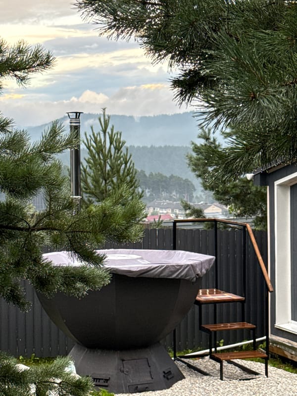 Rain-soaked pine branches frame a balcony view in Kusa