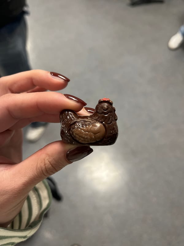 Person enjoys turtle-shaped chocolate confection in Lyon