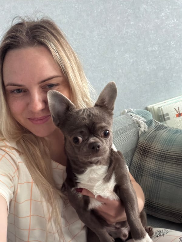 Chihuahua's morning routine documented in Votkinsk home