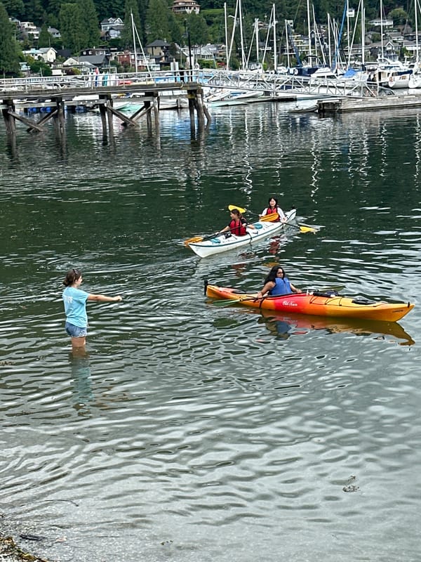 Waterfront life in North Vancouver: kayaks, sailboats, crows, and a swimming dog