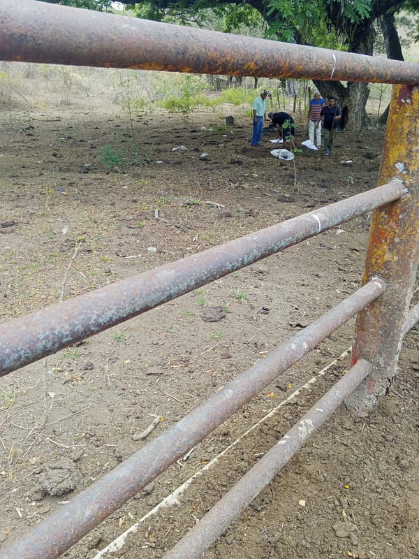 Cattle farm operations documented in Los Leoncitos, Venezuela