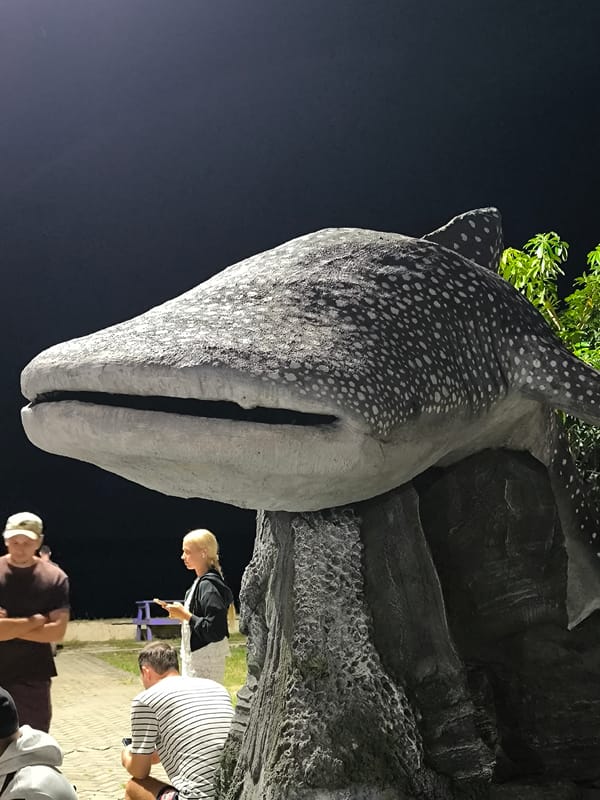 Whale shark statue draws visitors in Labuan Jambu