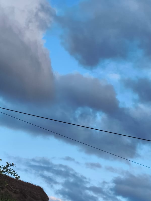 Man documents evening with selfies in Huntingdonshire countryside