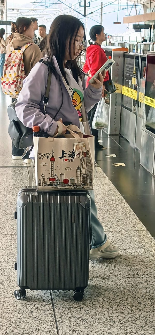 Woman uses phone at Chongqing railway station
