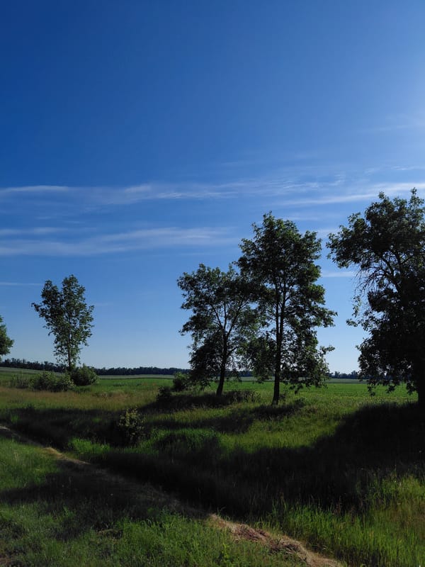 Clear Morning Sky Documented Over Rural Hoholeve Ukraine Fields
