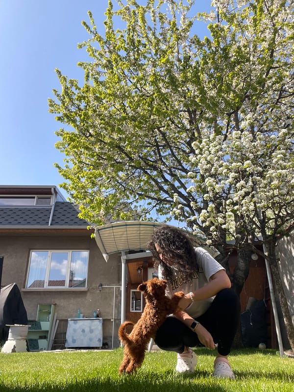 Woman and small dog enjoy sunny afternoon in Sofia backyard