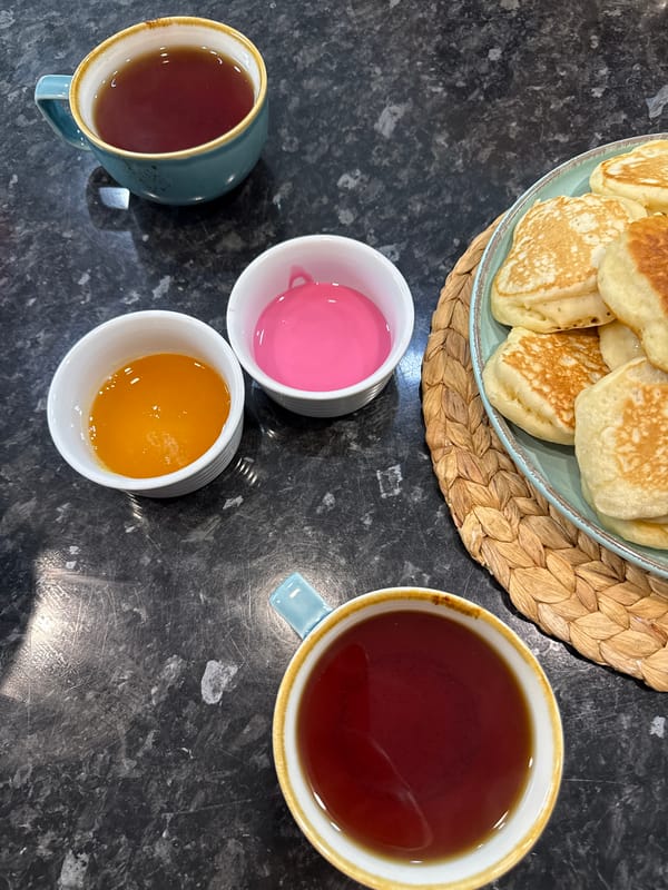 Pancakes and tea on a Sochi countertop, dog included