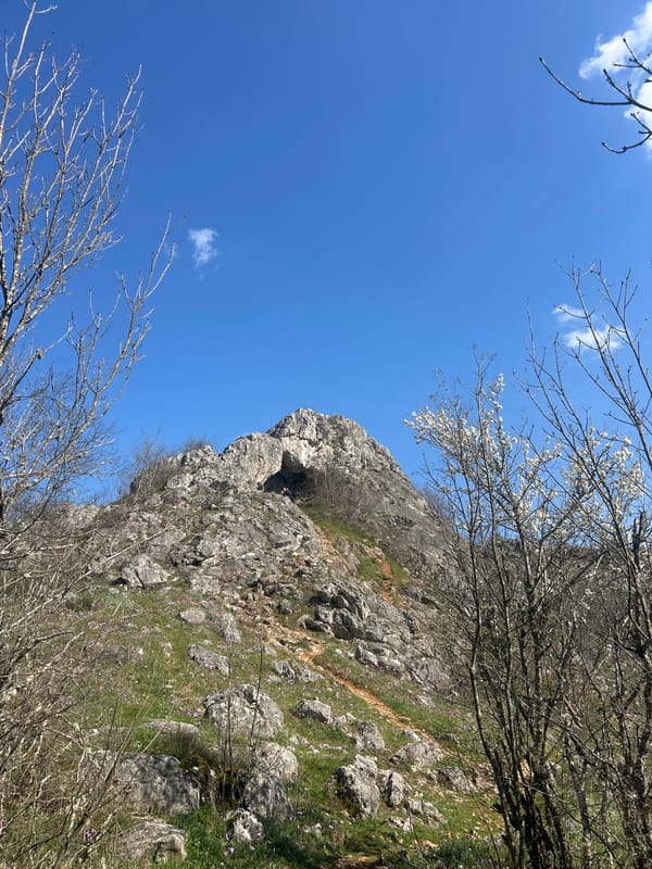 Group explores natural areas around Mladezhko, Bulgaria during spring outing
