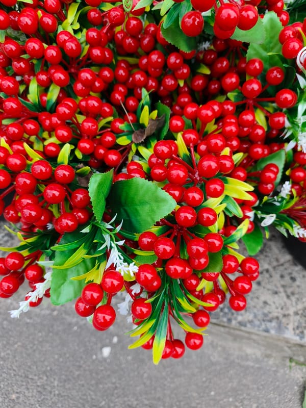 Morning documentation captures decorative scenes around Kryvyi Rih cafe