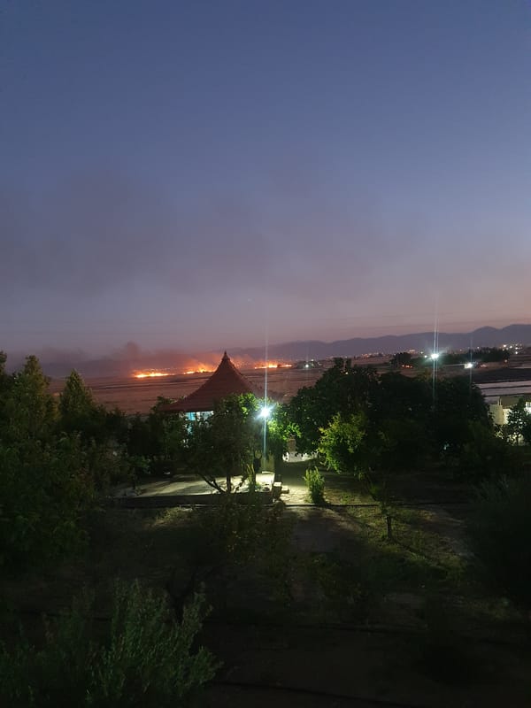 Sandwich preparation session in Kheyrabad at dusk
