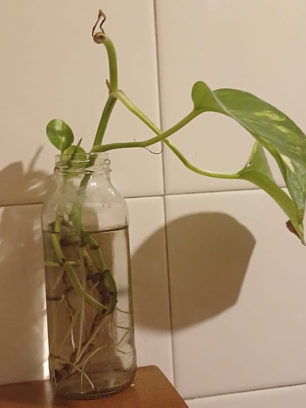 Buenos Aires resident documents personal indoor space and belongings