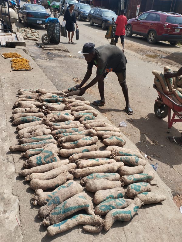Busy street market activity documented in Fegge, Nigeria