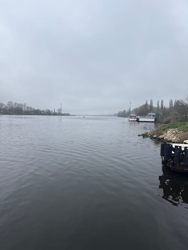 Ship passengers document overcast morning waterway views near Beloslav