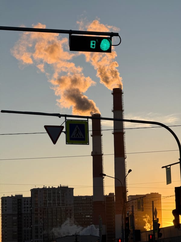 Industrial smokestacks documented in Saint Petersburg urban landscape