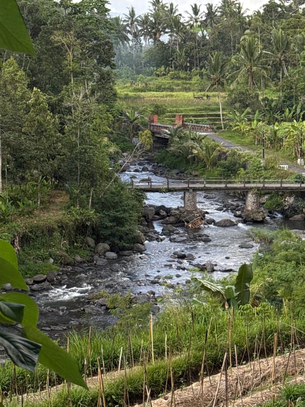 Sidemen river, shrines, and Mount Agung on a June morning