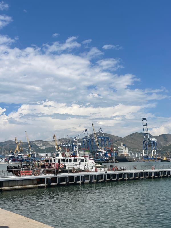 Civilian and military vessels side by side at Novorossiysk port