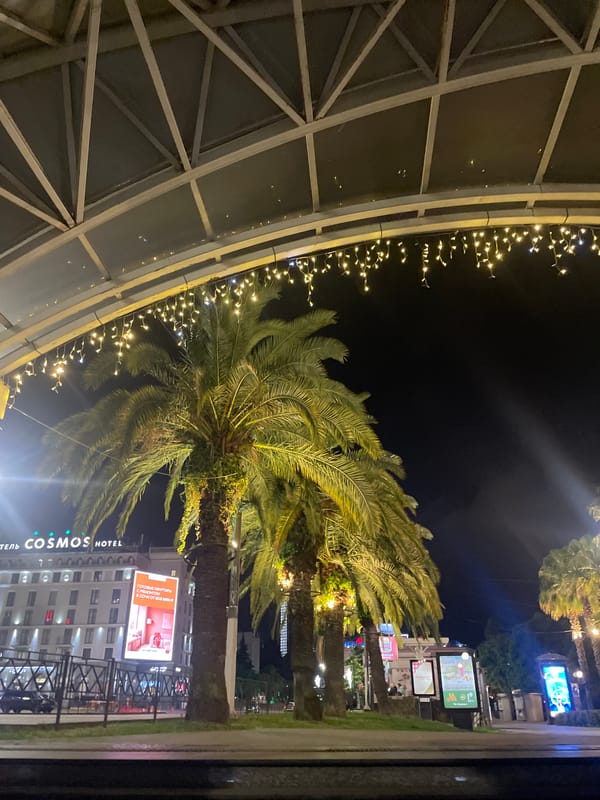 Nighttime tour captures iconic Sochi landmarks and architecture