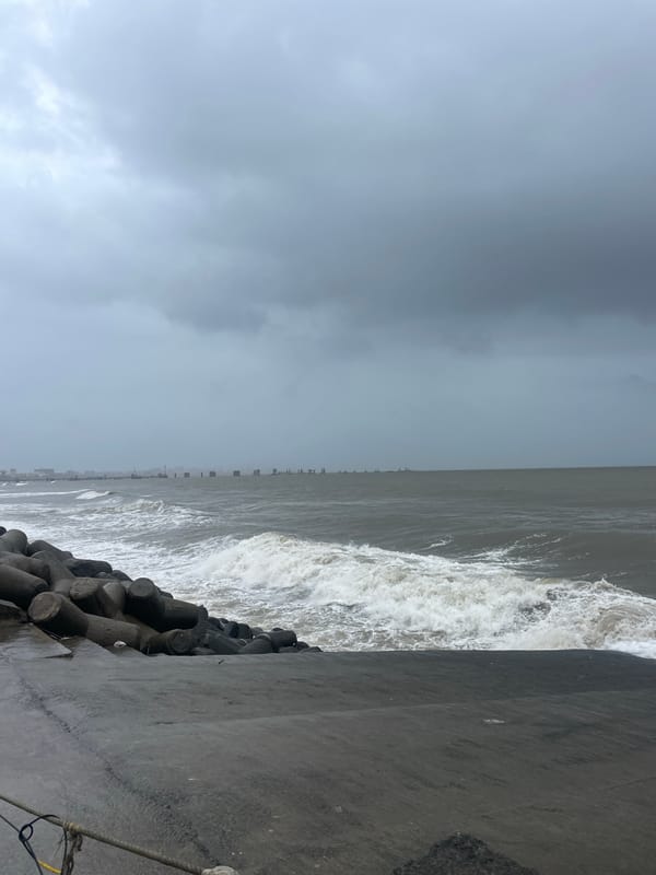 Mumbai coastline in full monsoon mode, with cafe cats nearby