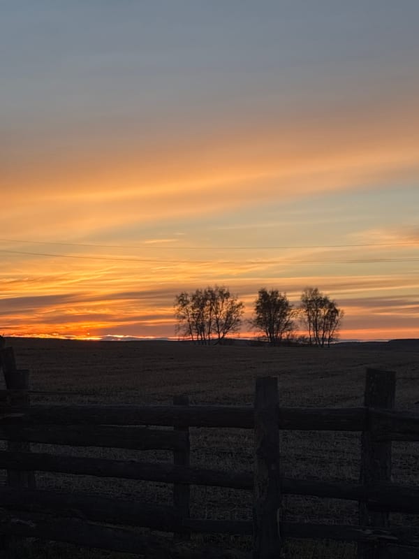 Sunset illuminates rural landscape with silhouetted trees in Olzony
