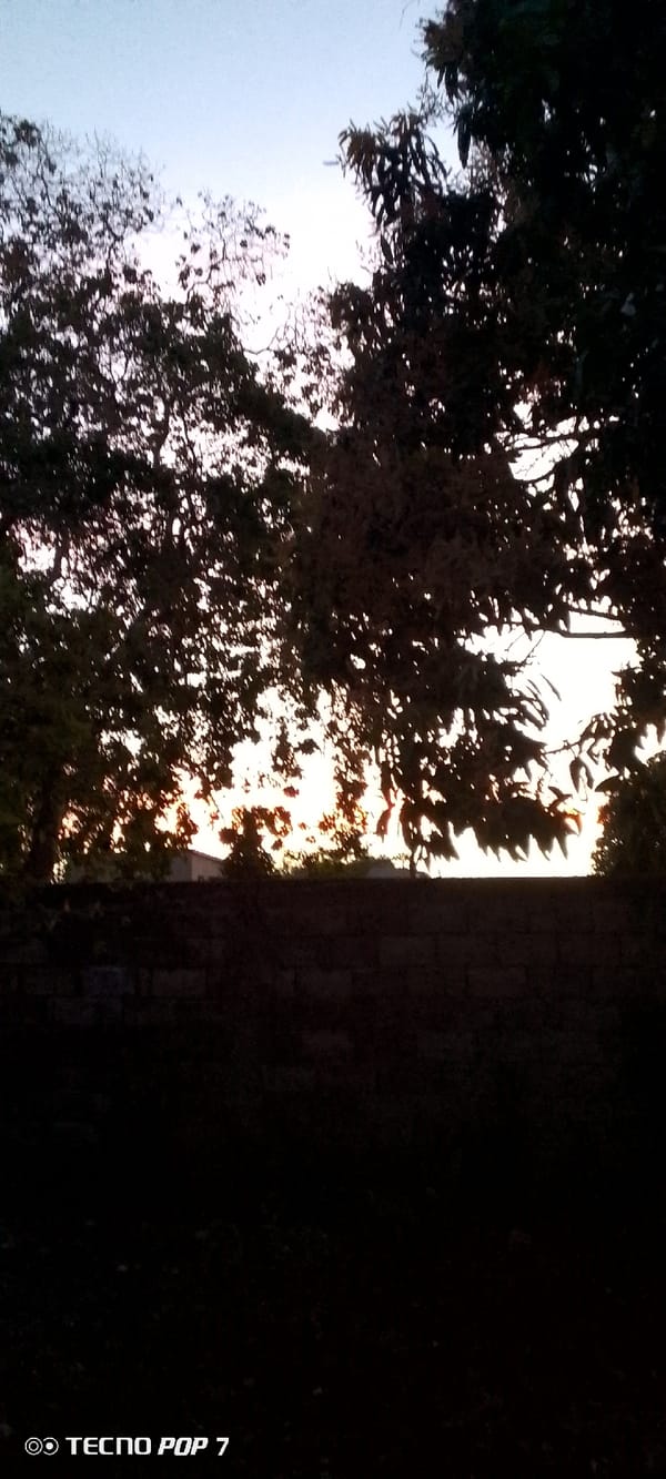 Evening life documented in Altagracia, Venezuela through 21 memories