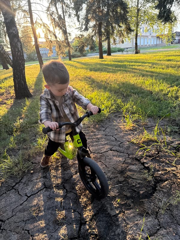 Afternoon in a sun-lit park with trees, paths, and a plaza