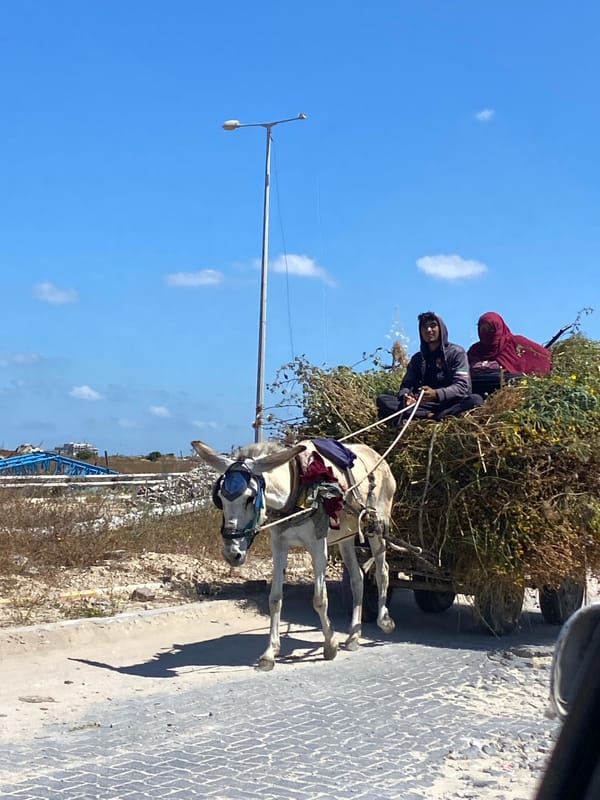 Morning street life documented in Gaza Strip communities