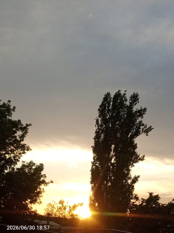 Quiet summer evening in Жанай — nature, home, and small gestures