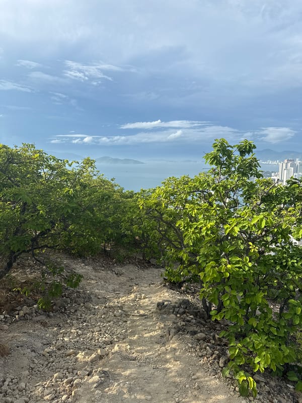 Evening hillside trek documents Nha Trang coastal views, cave exploration