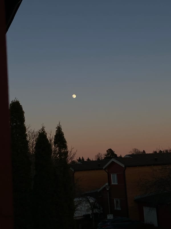 Evening moments captured in Björklinge: moonlit skies and cozy indoors