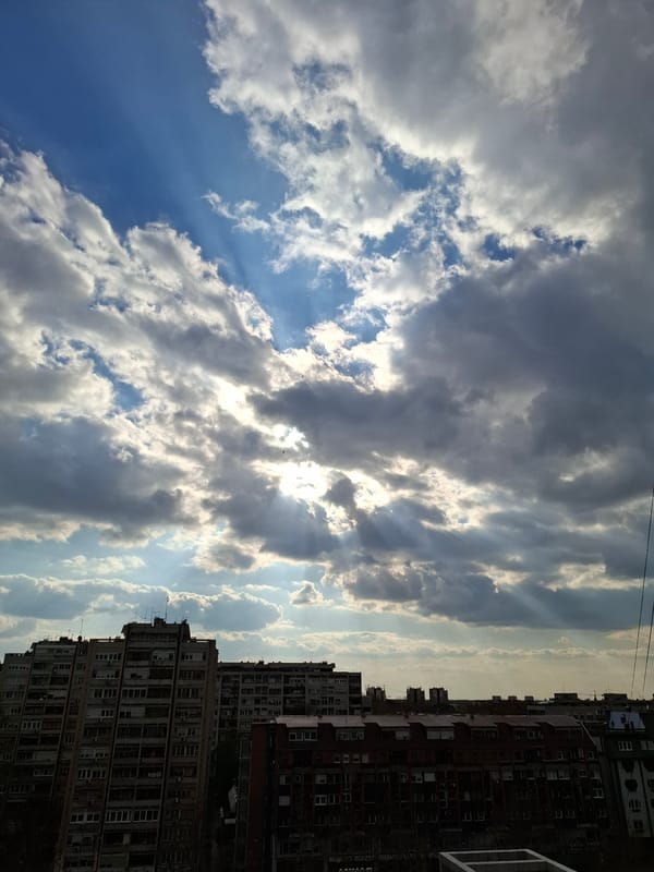 Cats photographed gazing through windows in Novi Sad, Serbia