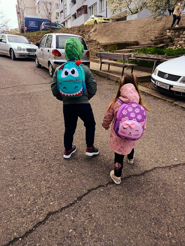 Morning life scenes documented across Kardzhali, Bulgaria