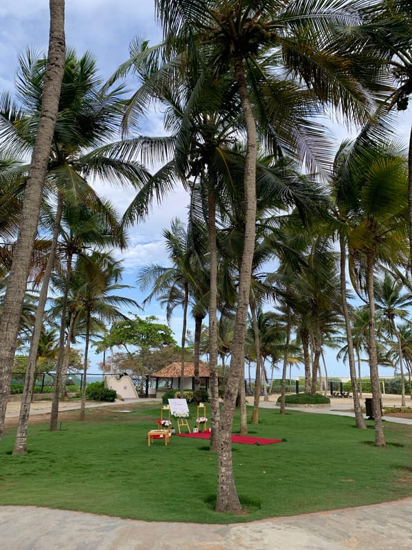 Tropical wedding ceremony setup documented in El Tirano, Venezuela