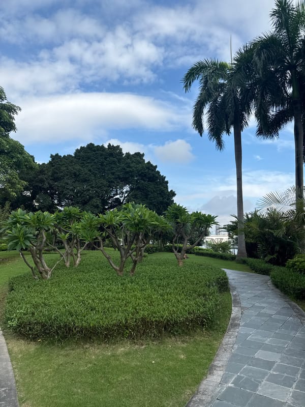 Winding through a lush Tianhe District urban park