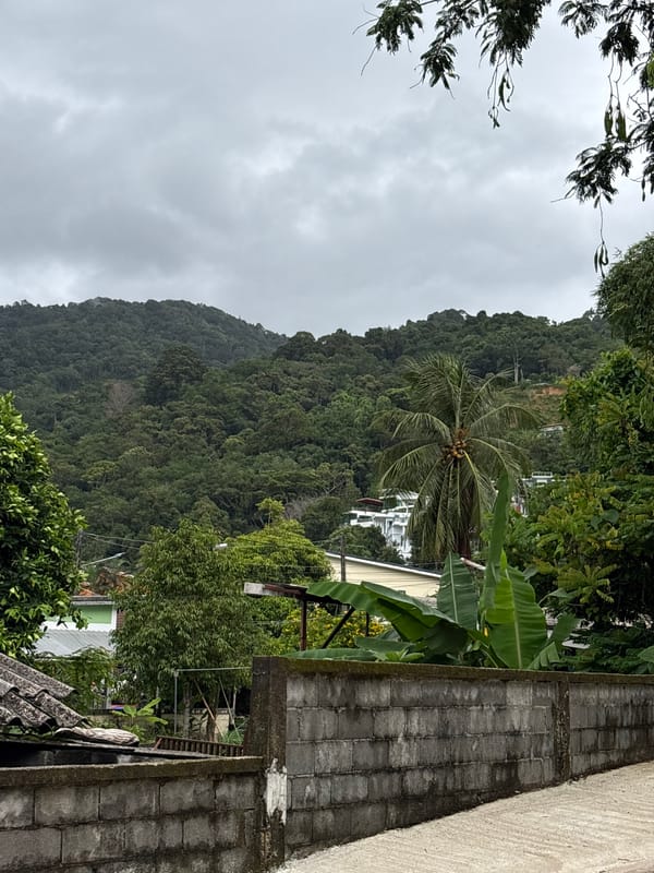 Tropical garden life and local guesthouses in Choeng Thale