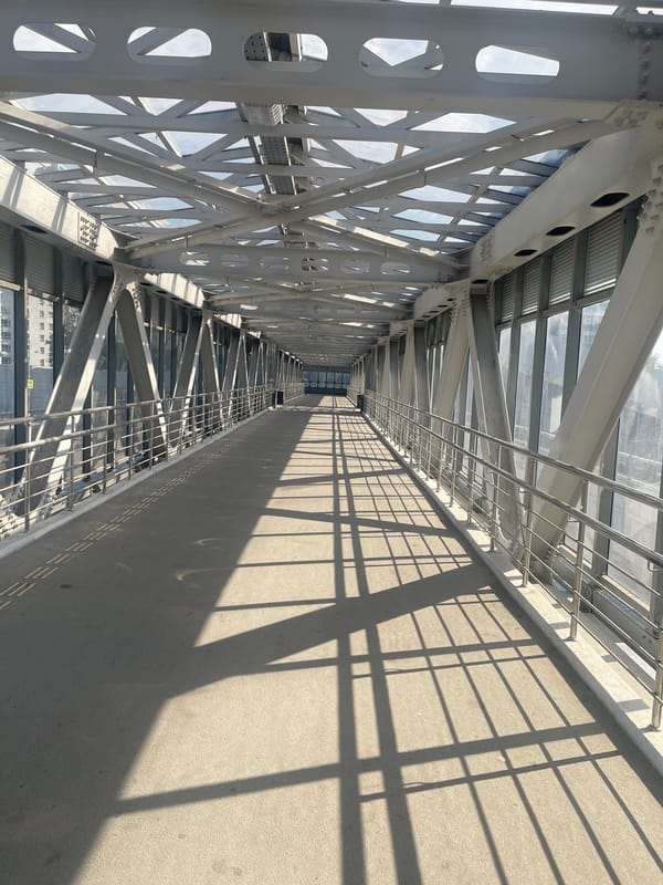 Afternoon snapshots capture casual moments across connected urban spaces