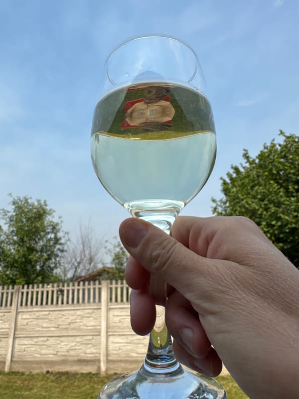 White wine and grilled chicken at an outdoor backyard meal
