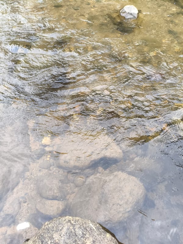 Man enjoys morning river visit in Indonesian countryside