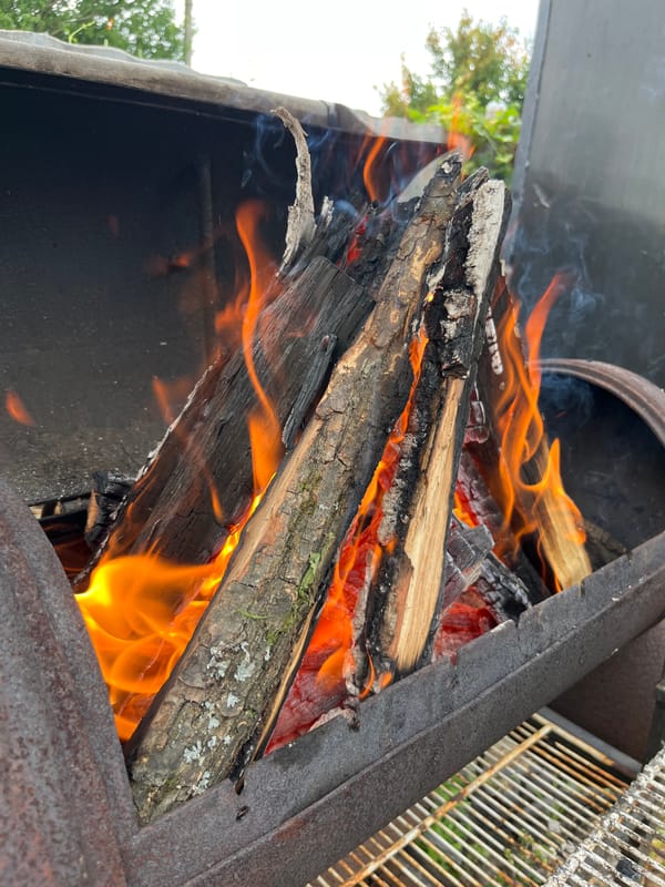 Backyard fire and a German Shepherd, Vvedenka