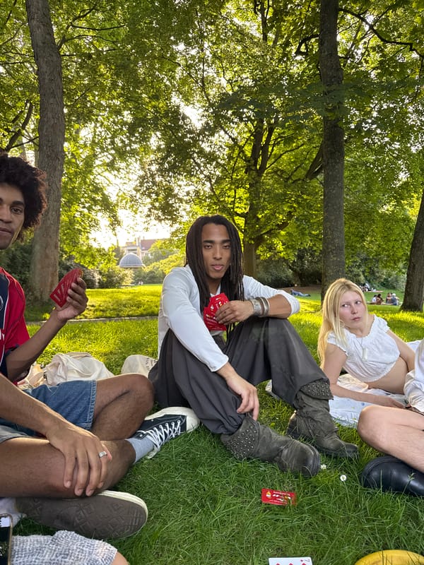 Parisians gather for afternoon park relaxation under trees