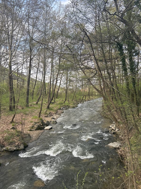 Photographer documents spring river scenery in Parvenets, Bulgaria