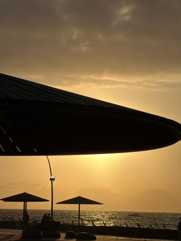 Sunset wildlife and landmarks captured around Tel Aviv waterfront