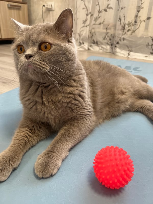 Morning domestic life documented in Chaikovsky, Russia