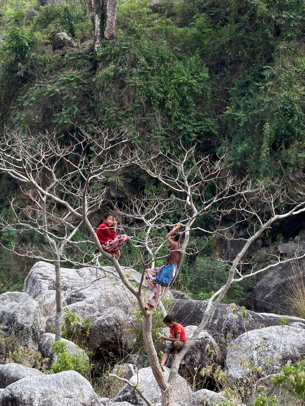 Three people climb tree near rocks in Bhimphedi