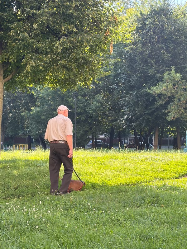 Early morning activity in a Moscow residential neighborhood