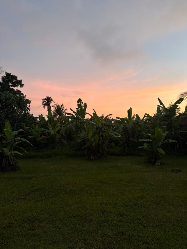 Woman photographed during sunset session in Ubud tropical gardens