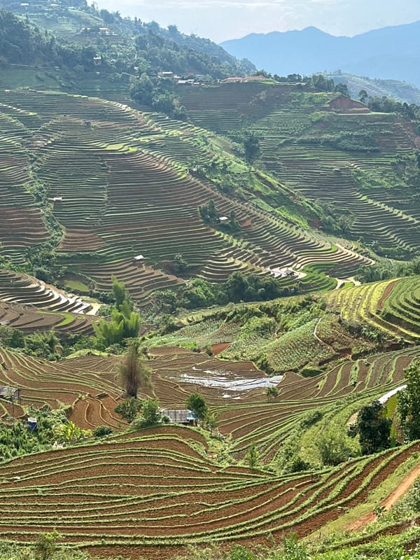 Tourists document scenic terraced rice fields in Lao Chai Vietnam