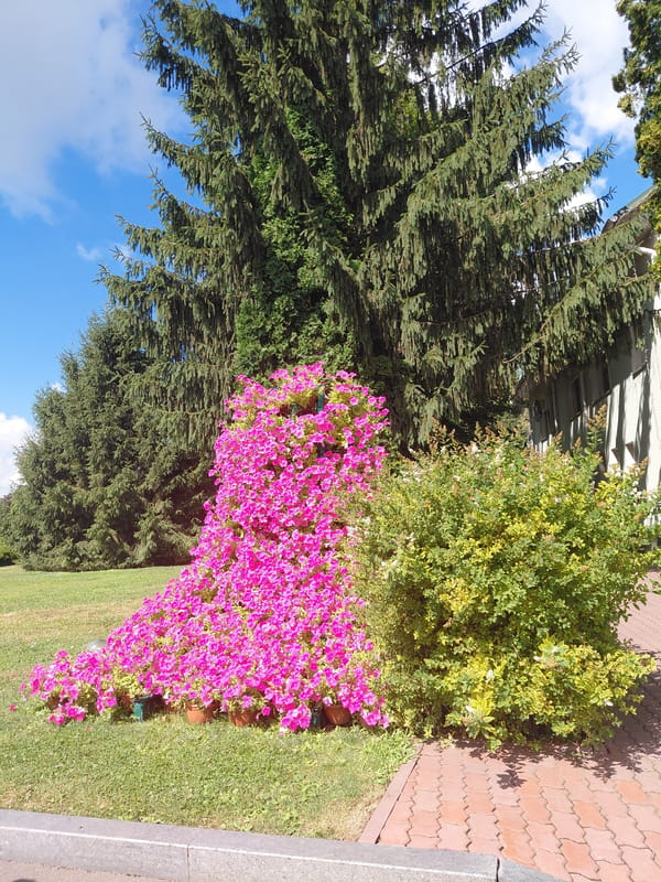 Kovalivka's ornate park gardens in full summer bloom